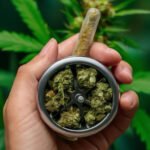 Discovering Top Cannabis Spots for Relaxation and Wellness